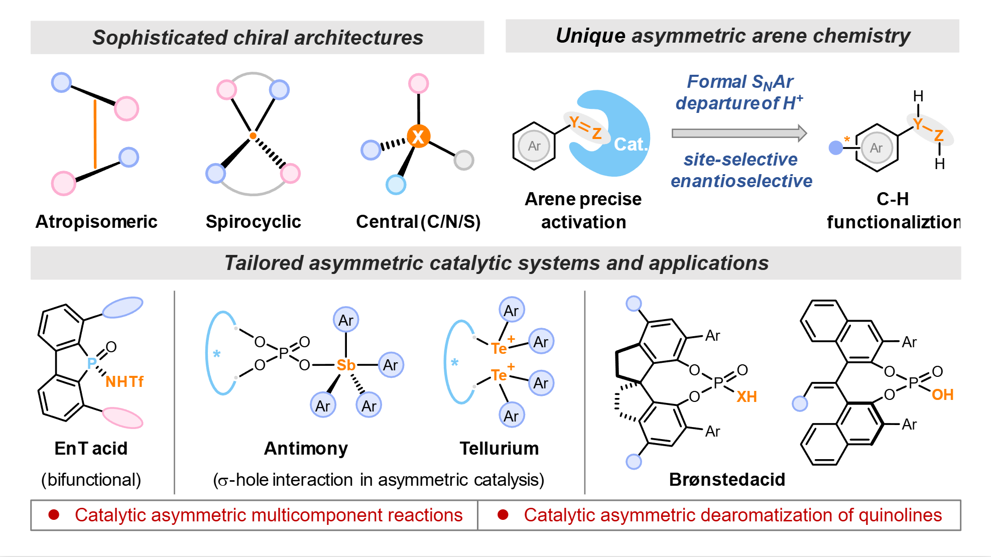 Schematic of the asymmetric catalysis program: atropisomeric, spirocyclic and central chiral architectures; site- and enantioselective arene C-H functionalization; tailored catalytic systems (EnT acid, antimony sigma-hole, tellurium and chiral Bronsted acid) used in catalytic asymmetric multicomponent reactions and dearomatization of quinolines.
