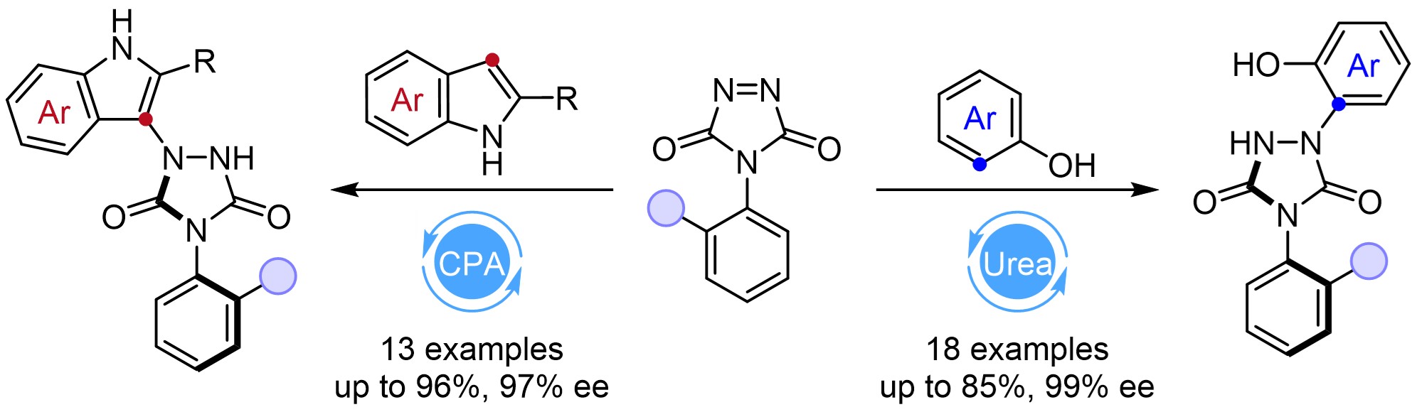 图 51